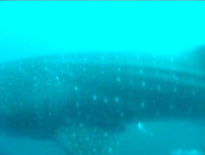 562156ff-b9e1-4471-a54a-8d30ea43818b