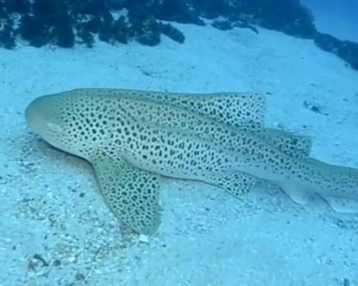 ac4ff84b-d4d0-460d-b267-4dfc0f049512