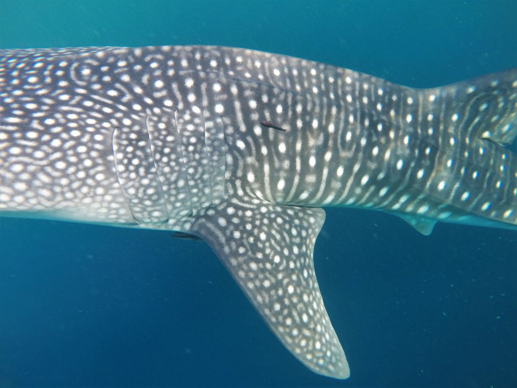 9baf9168-2036-48d3-8256-8d898f23b224