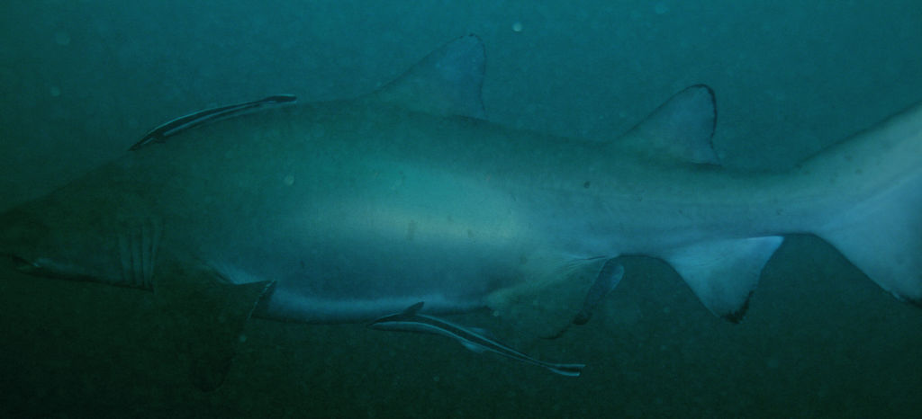 1d49b067-f7f2-4c55-bb6e-19eb0ab4201d