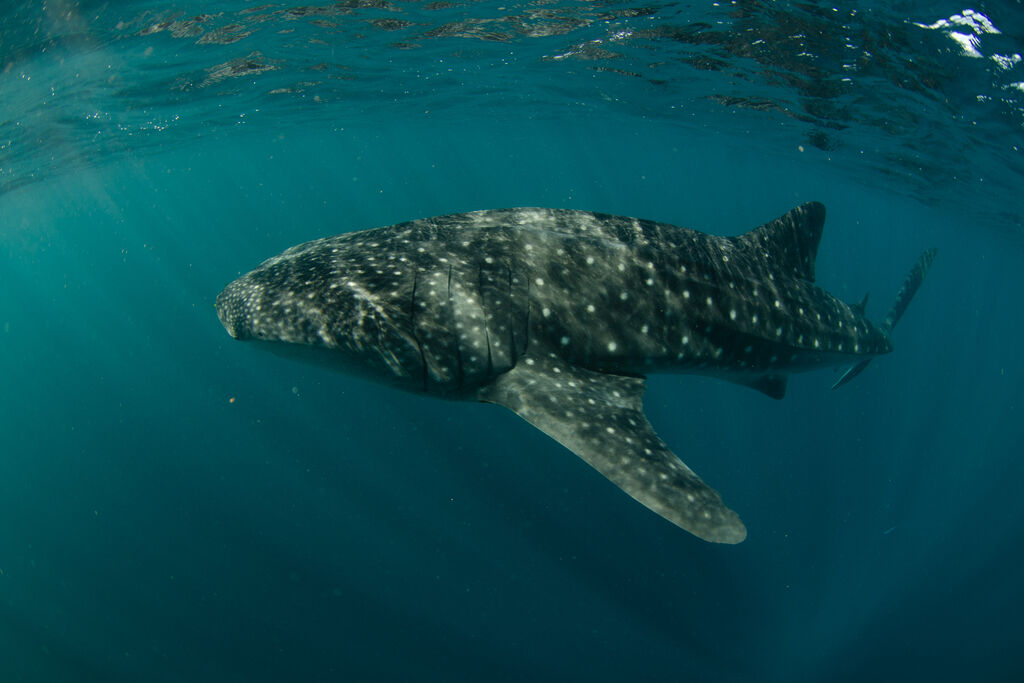 a150ff26-a408-455f-aae6-d1c0deb3defb