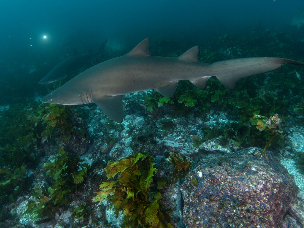 8072e4d6-be15-4db0-8307-e158d65b0505