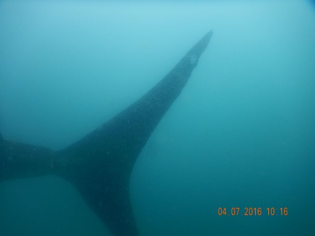 356834c0-b650-49e7-948e-ffcb83d53aa6