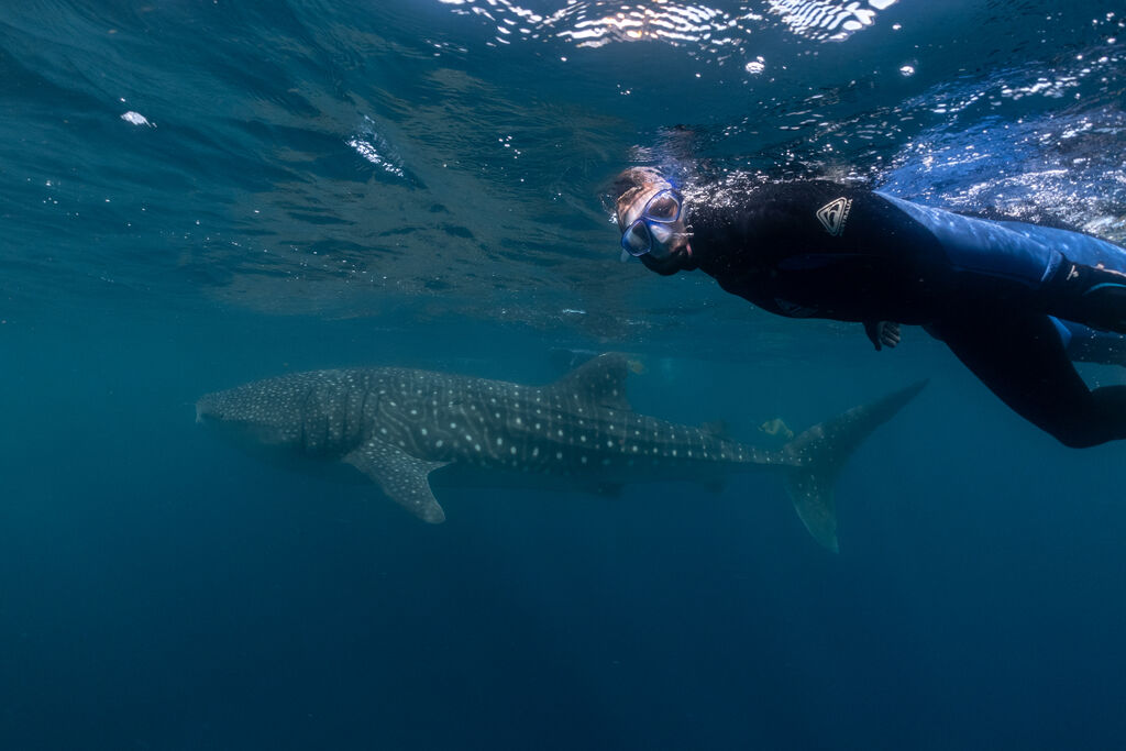 1f2ac99f-8573-4ab4-a4c2-14a8f3c7ac02