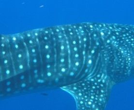 32f6d842-6f6a-4dd8-be98-cfe77e6aa66e