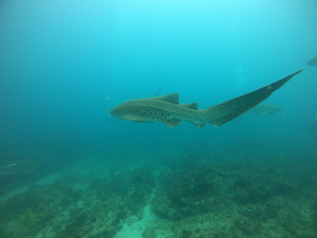 61c4a024-d313-41d4-8522-46529461f5a1