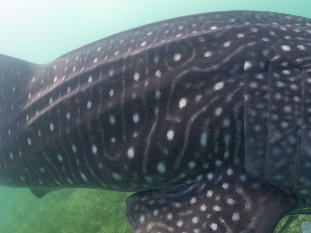 996b9b12-b82a-432c-ab23-5bd51b59f705