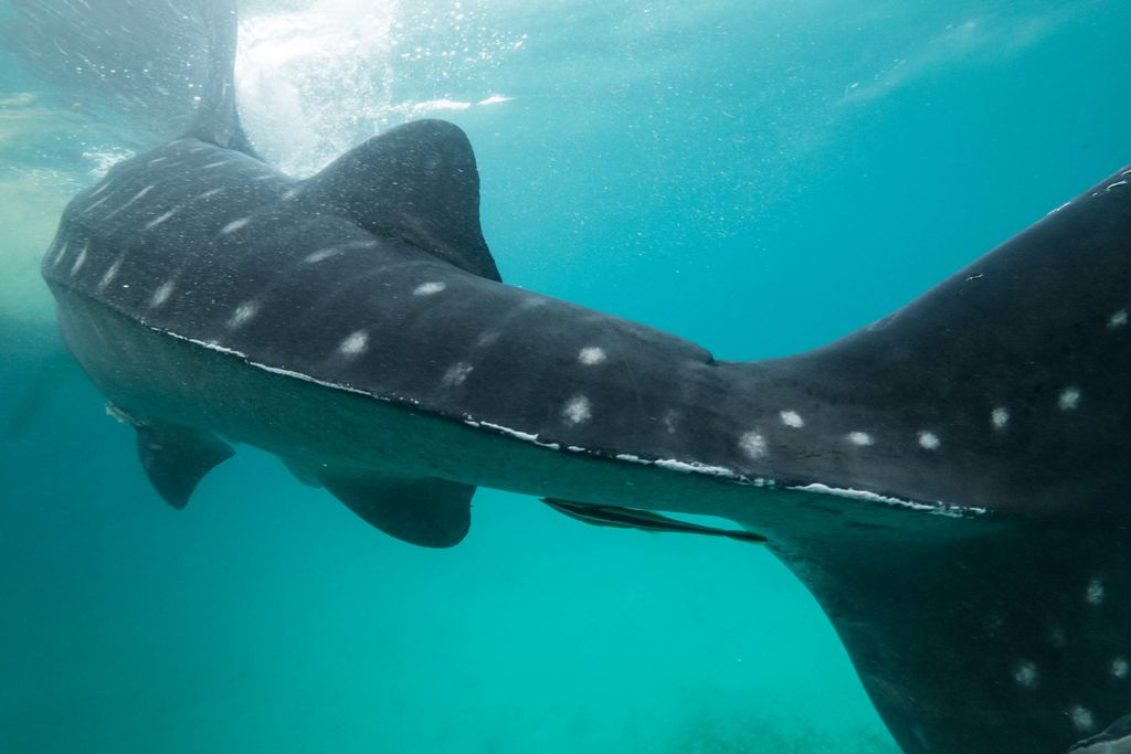 69c9068f-dfa1-4385-841b-f078e86aa6e9