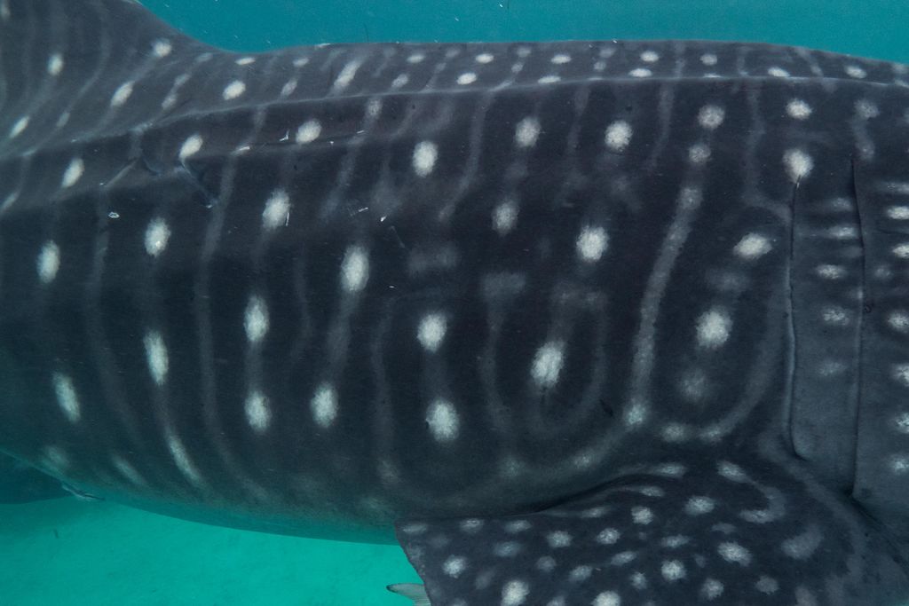 69c9068f-dfa1-4385-841b-f078e86aa6e9