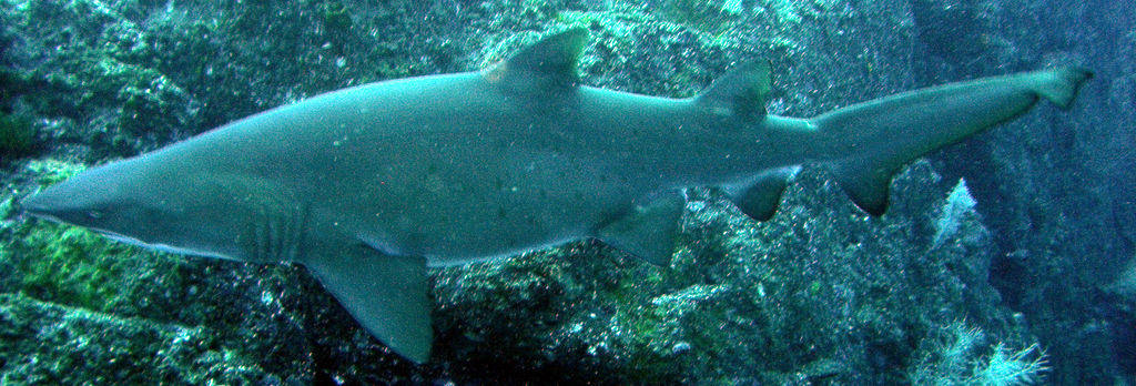 ba4ecccd-0bec-4863-9b08-4f10f95a9b70