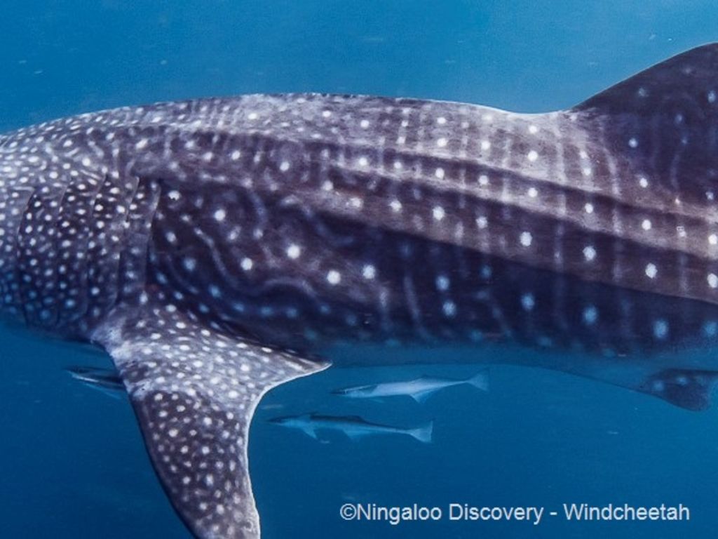 50aeb394-ffa8-4cee-b319-fa3cc33fb1b8