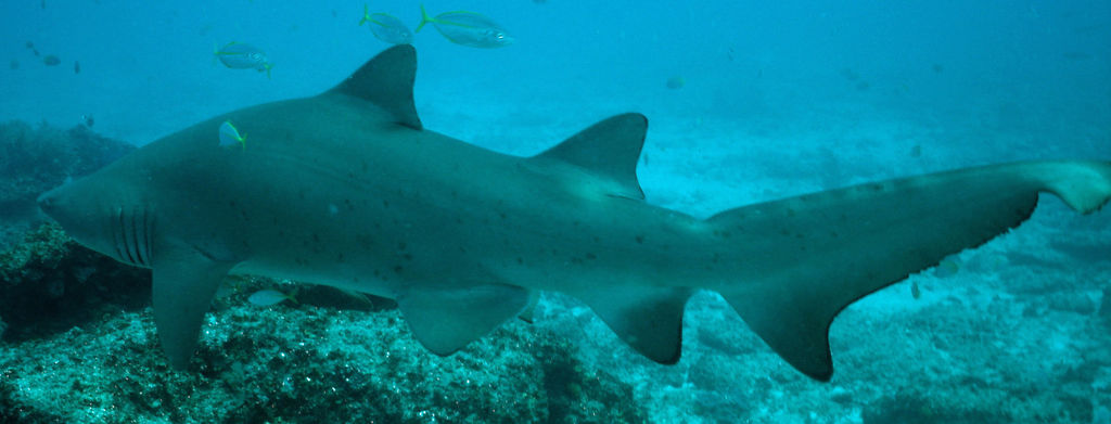 de09201c-bcb1-42ee-a7e1-b28082da99b9