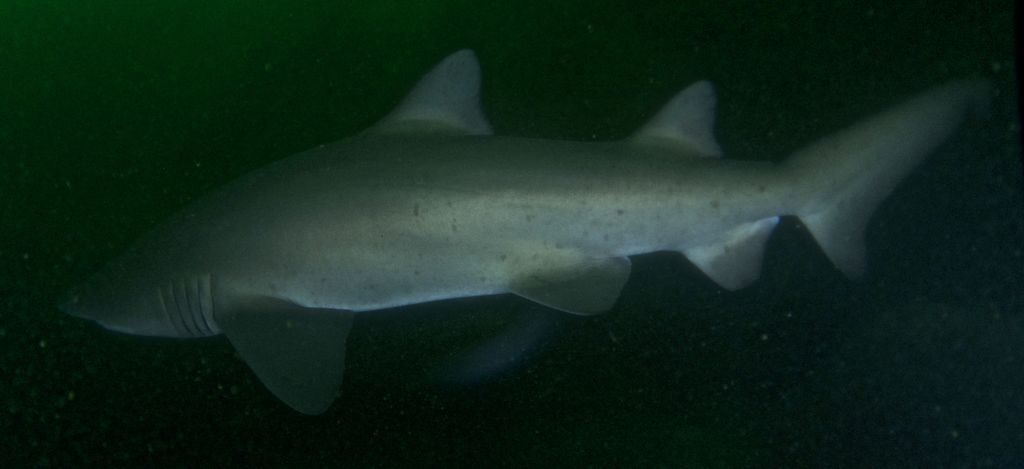 95300620-0c89-40c7-8097-48cbf169acad