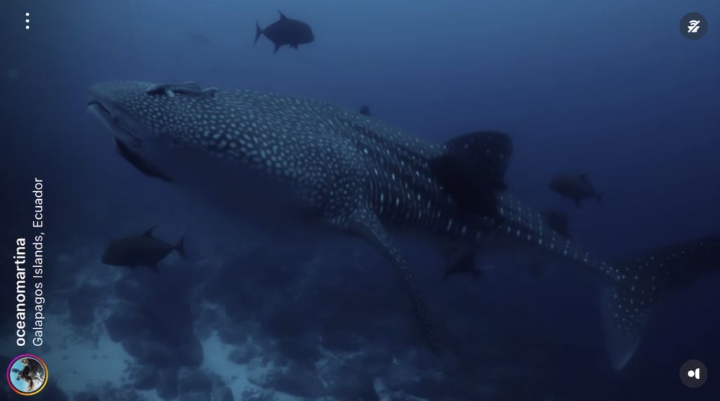 9879e8d9-ed6f-4ac7-90cd-d8539e1ce490