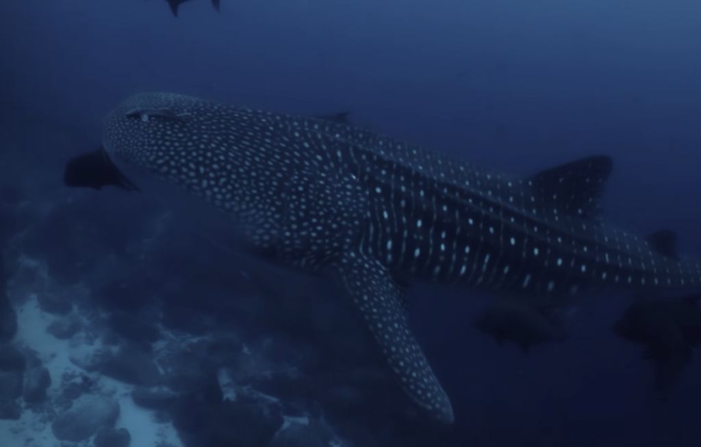 9879e8d9-ed6f-4ac7-90cd-d8539e1ce490