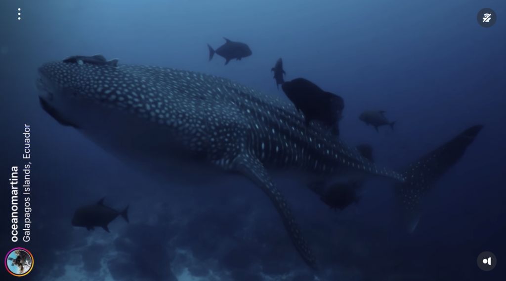 9879e8d9-ed6f-4ac7-90cd-d8539e1ce490