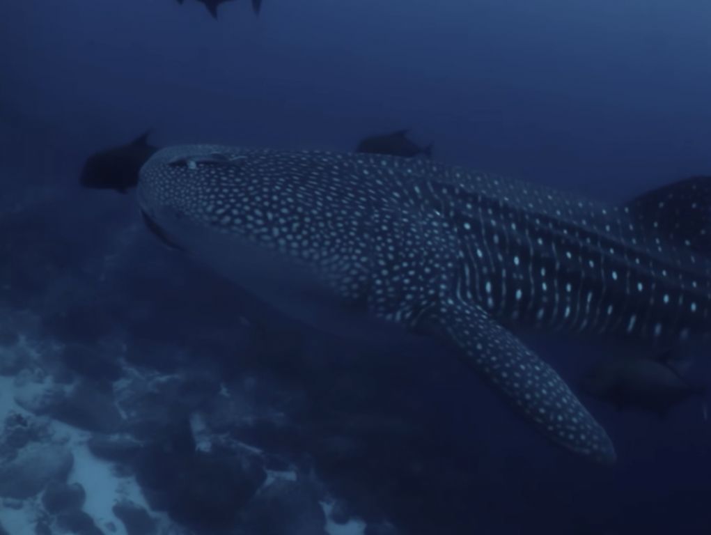 9879e8d9-ed6f-4ac7-90cd-d8539e1ce490