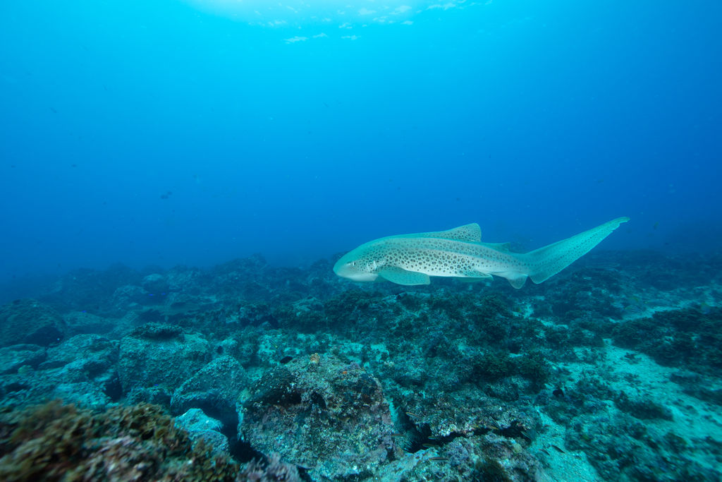 e8361446-5788-4950-a973-5229ddae52de