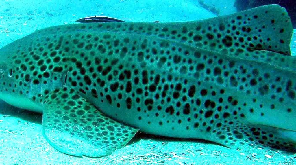 23b4b420-9ff6-4671-8a19-6ae52cdd8c84