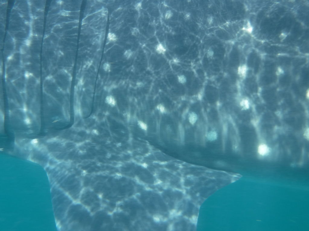 c6204b57-bf52-4465-b3a4-f0bd7ed349d2