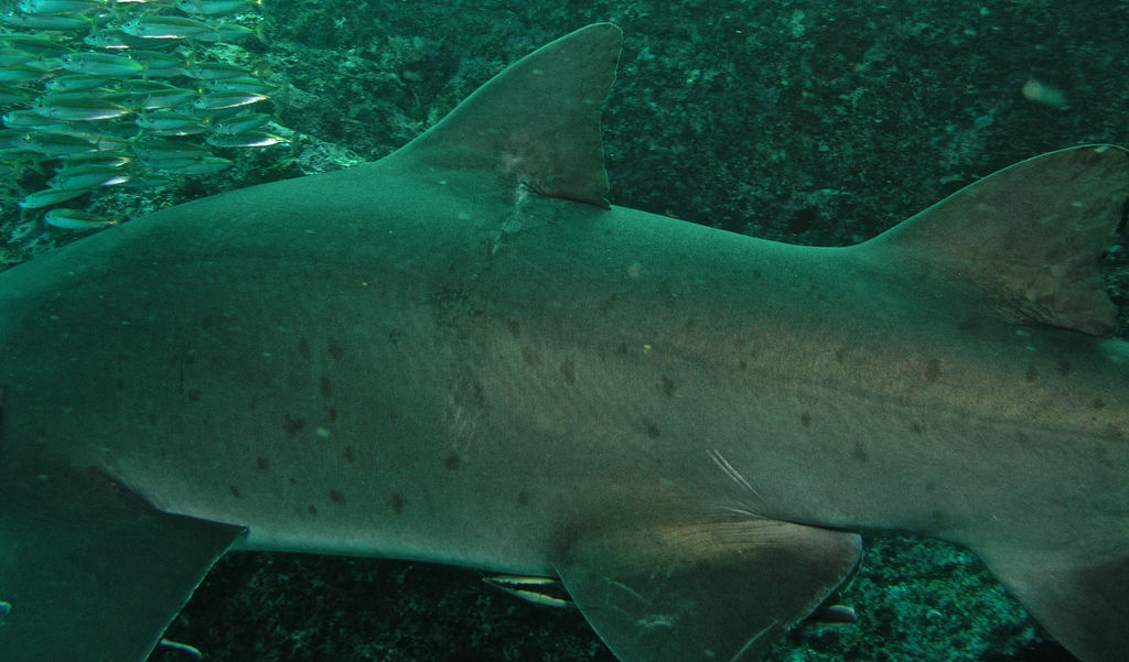 663816f0-b08f-4224-a1d2-ca365635aeef