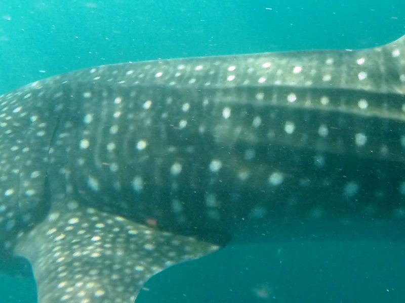 ab29edcf-f75a-4a85-b2a7-f868fa807011