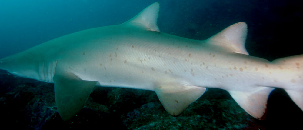 d3af1867-5644-468d-8997-a91cb29a785b