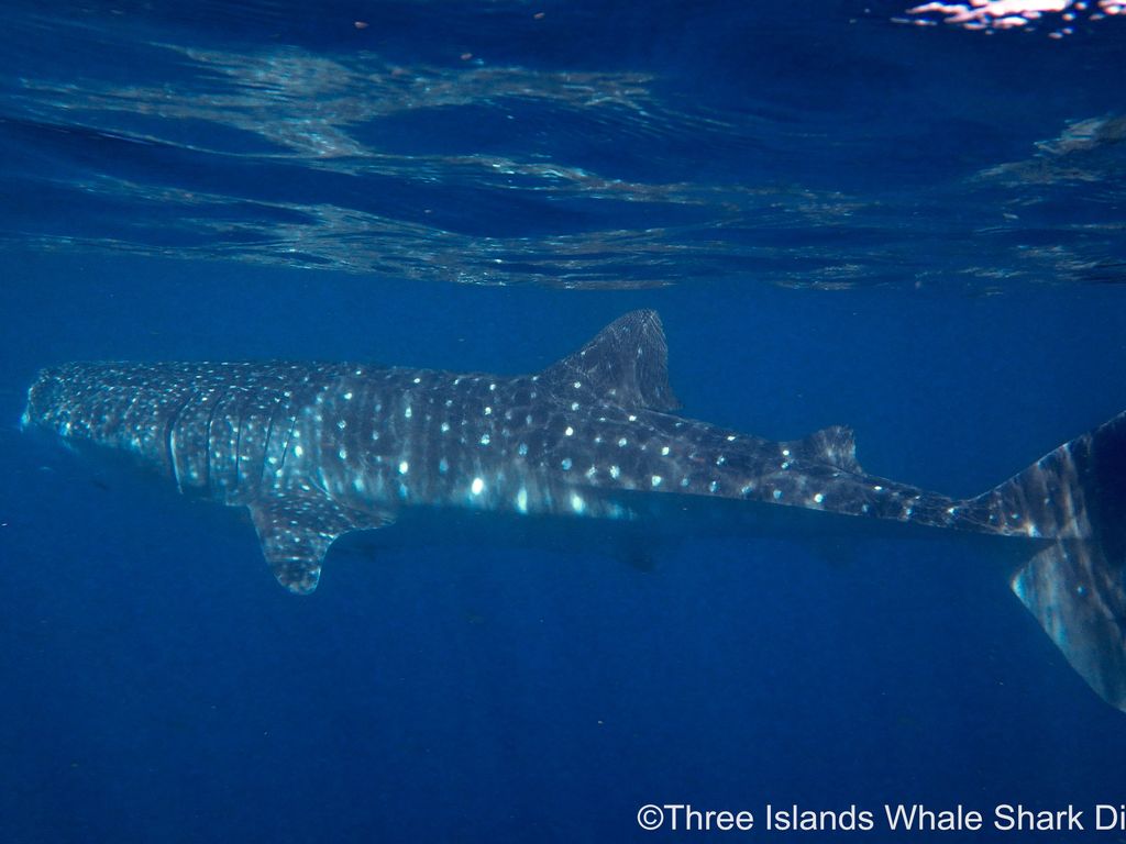 9386806f-0df3-4b84-a109-a5f7cbd1a0c4