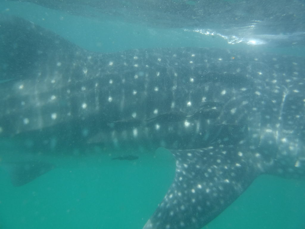 2a055424-97b2-4d1b-bd1f-b875a23c96c8