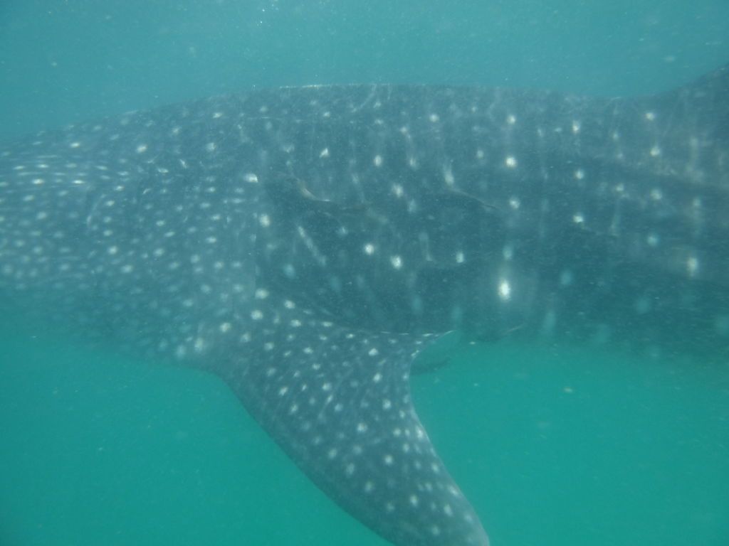 2a055424-97b2-4d1b-bd1f-b875a23c96c8