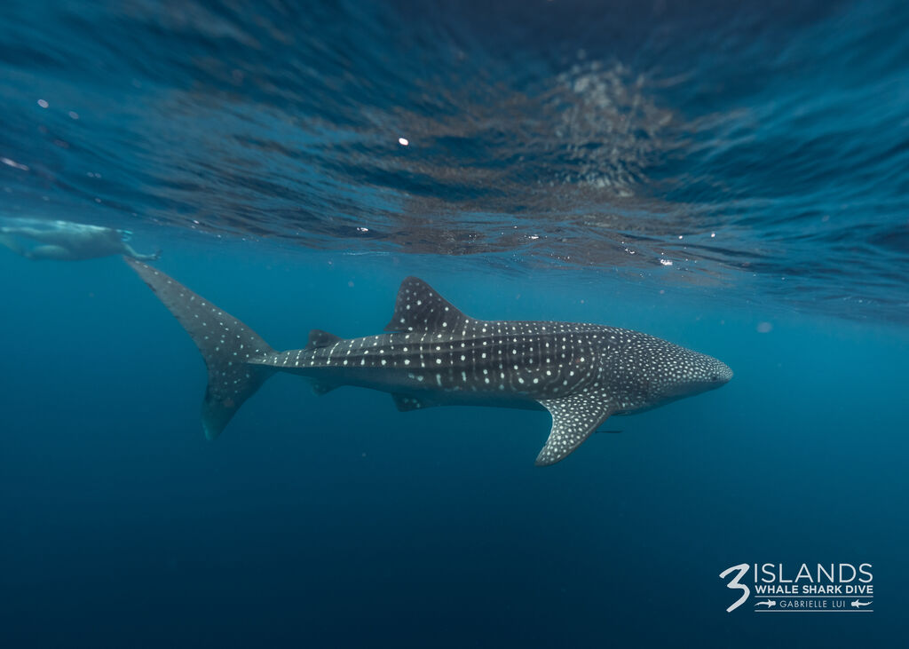 d6545596-3cef-4e1b-9554-22a3d88fdf3a