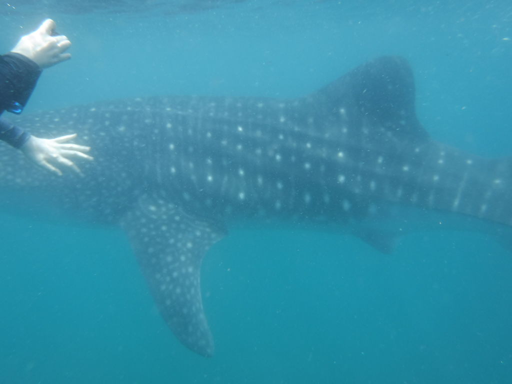 25c0a4cf-3fbe-4e78-a55f-4a3a1ae0cd7b