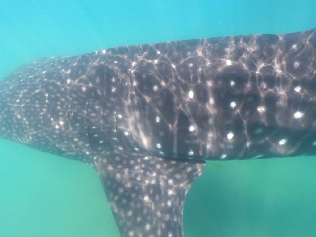 d5659c66-02fd-40ea-8a41-915b8a62fa3e