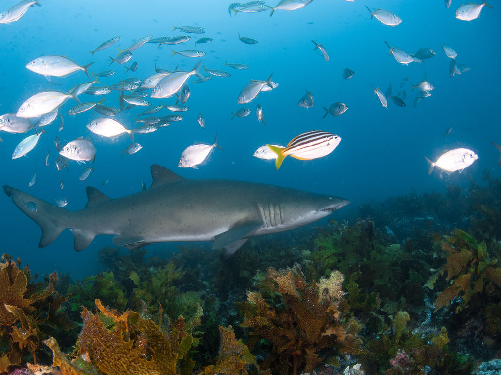 7f1253dc-cdcc-4ae8-8f09-26891f001657