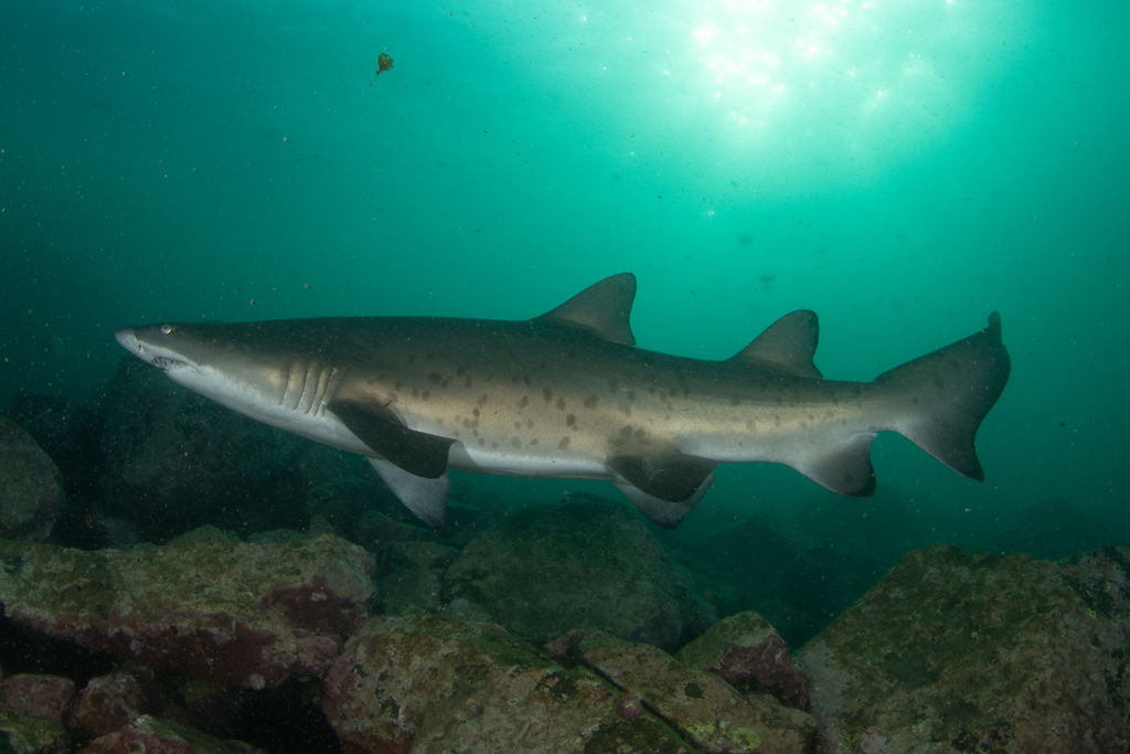 dde99d2a-6e13-47e2-ac28-85c9361f4516