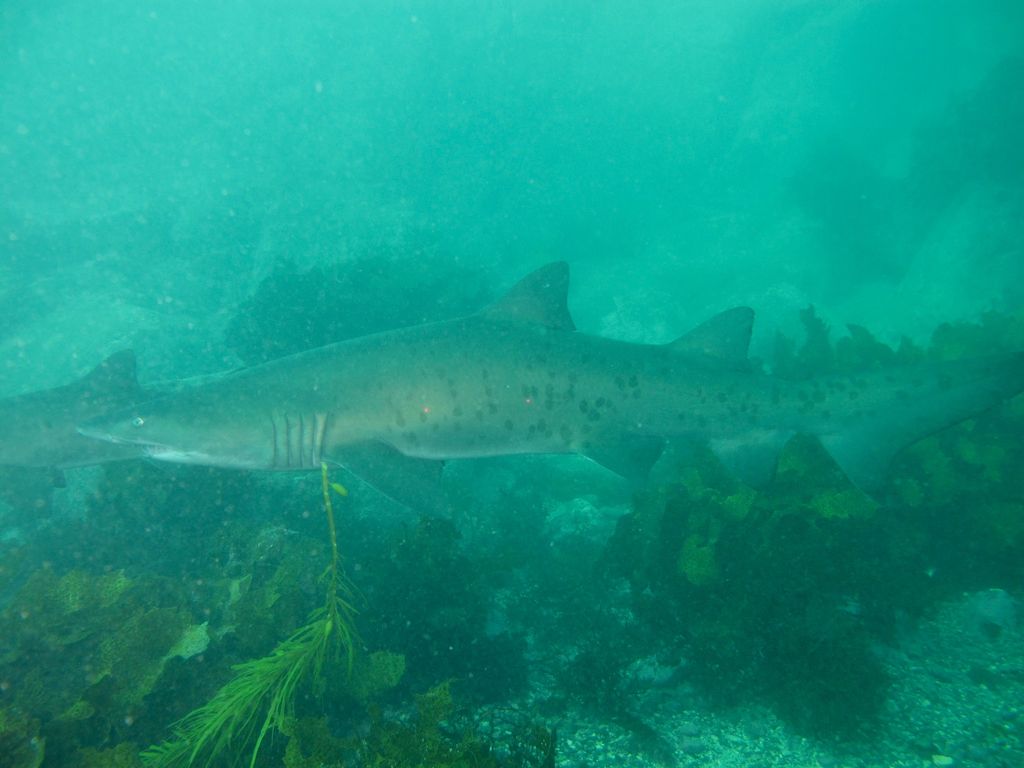 ee267511-f066-49a7-9a6a-b1a8a9e7ed9c