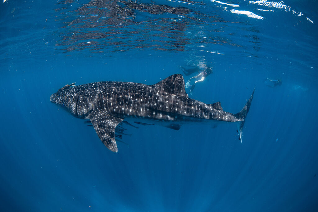 32527ec8-dc1d-4a0f-be14-ffa28f2c8077