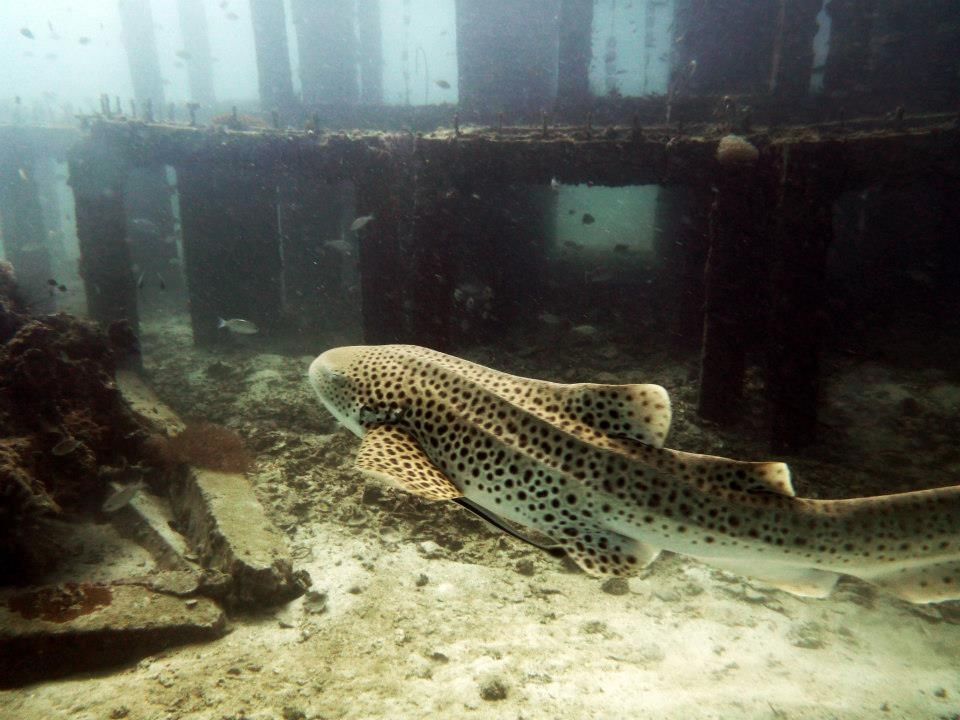 bb0460a9-5b77-4f81-8b92-95f04e7b4a63