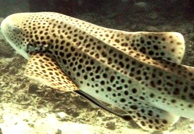 bb0460a9-5b77-4f81-8b92-95f04e7b4a63