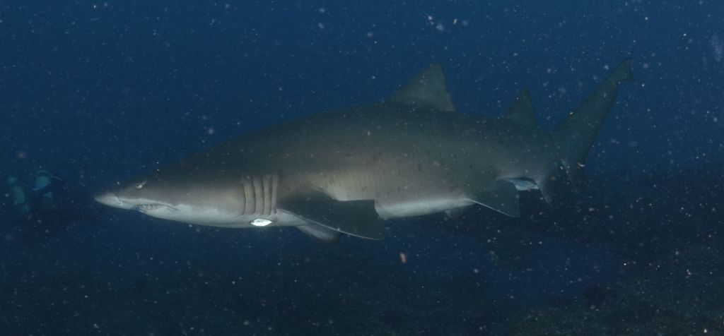 361656bd-69bf-44c5-bd4d-2a5a57c5529c