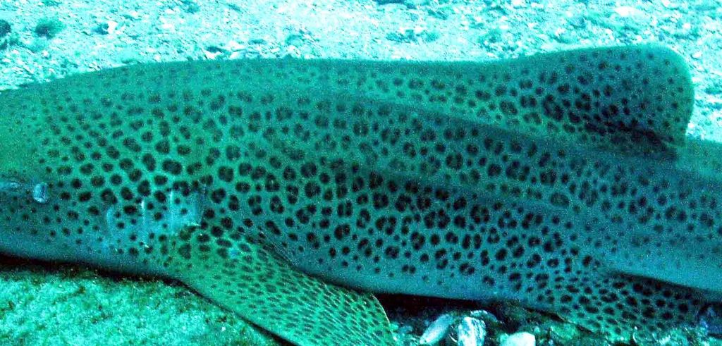 31502c34-9670-41cb-bed0-f30962d627bb