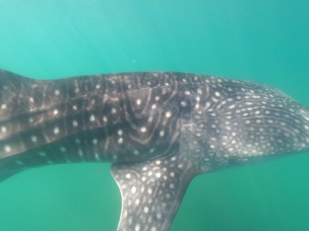 a7b4fdd2-e31a-4ccc-9738-9993b188df0f