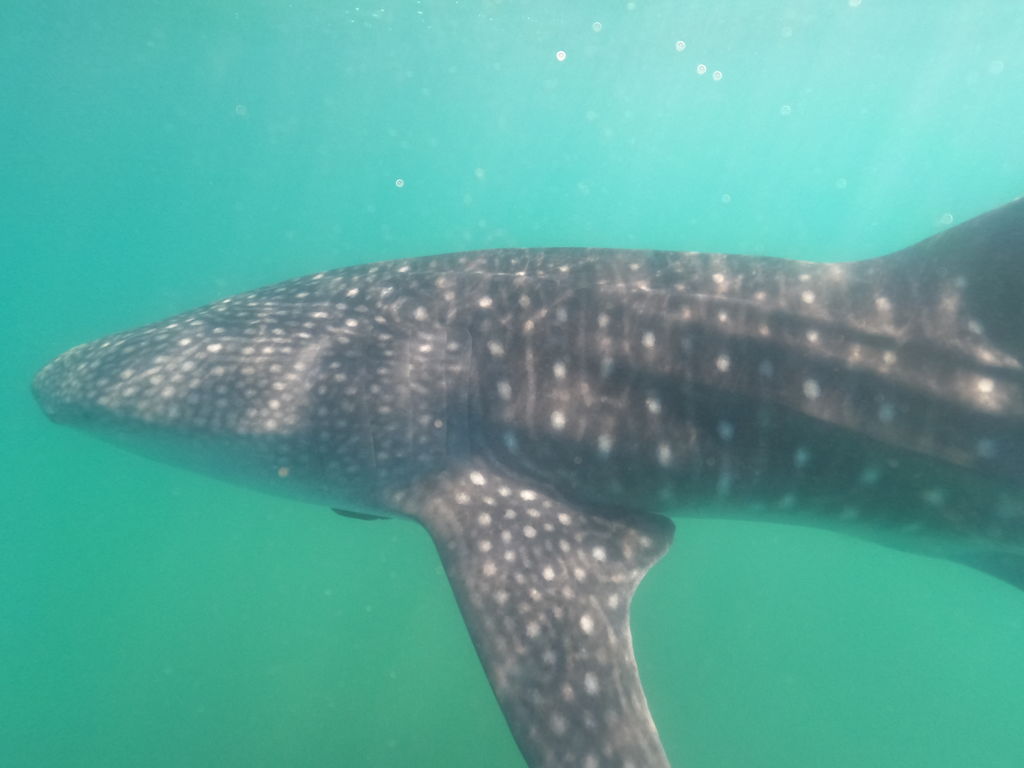 a7b4fdd2-e31a-4ccc-9738-9993b188df0f