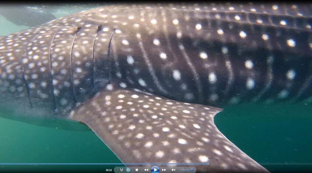 3d2a0e85-a982-4b7d-956d-dac00c67b1a4