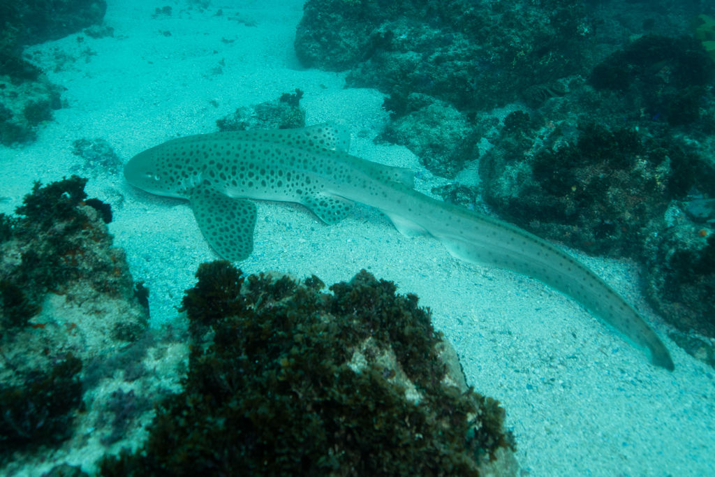 0164e7a0-b02d-4a1c-bec6-c3c2852e652b