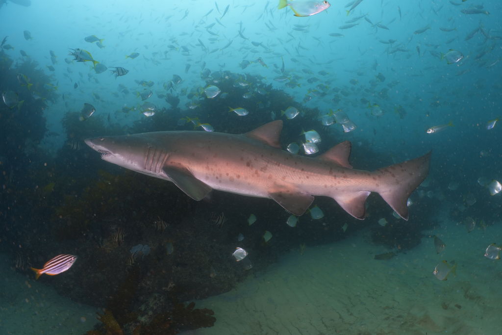 61af6dbb-3ac4-4663-8e6d-8bcd0417f01e