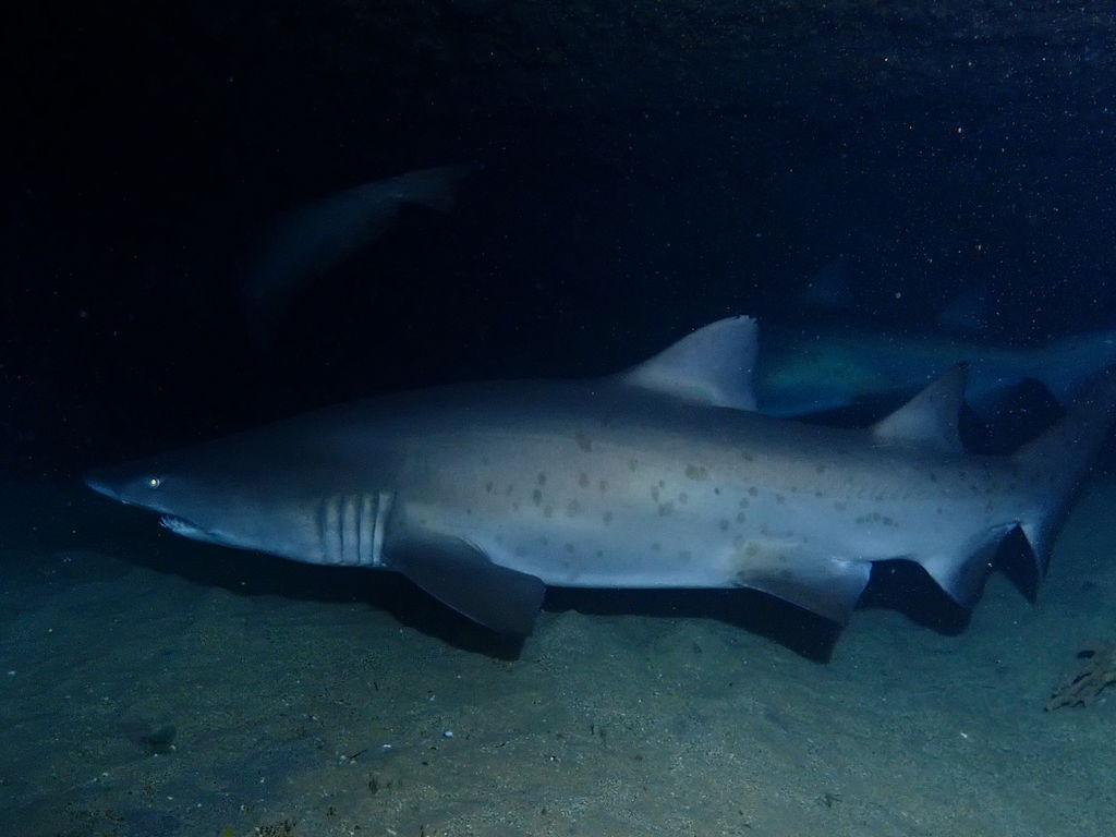 f7f6e6b3-02e2-4701-a66b-27e1d4629868