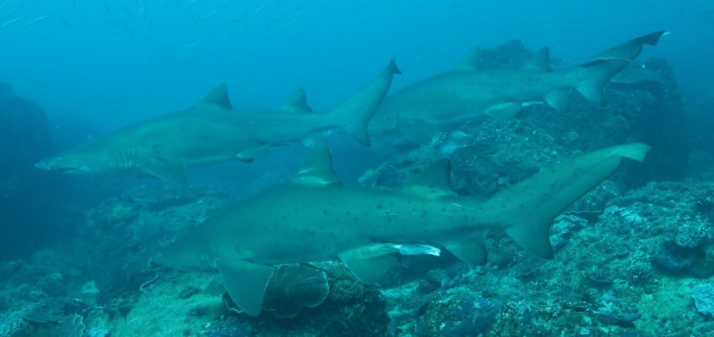 c4ffefaf-4cbb-4d88-9dd4-26b245b21813