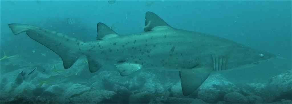 62de430c-1b87-40ba-ab72-80439fa58196