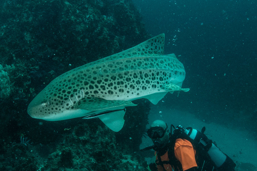 e12aed02-1711-4bfb-b417-01beac8059f6